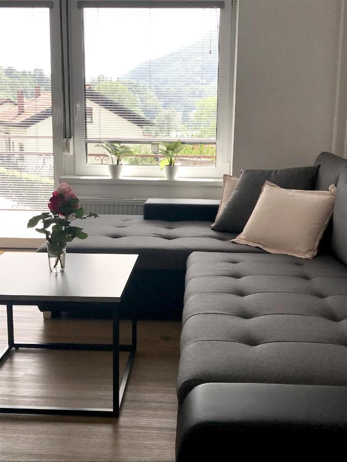 Apartment Loyd, Tolmin - Most na Soči Buitenkant foto