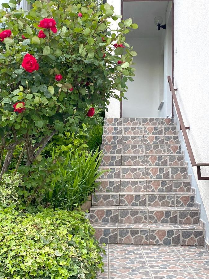 Apartment Loyd, Tolmin - Most na Soči Buitenkant foto